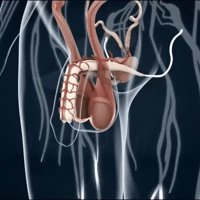 Alcuras® 41-Second Instant Erection Cream — Instant Power, Lasting Confidence